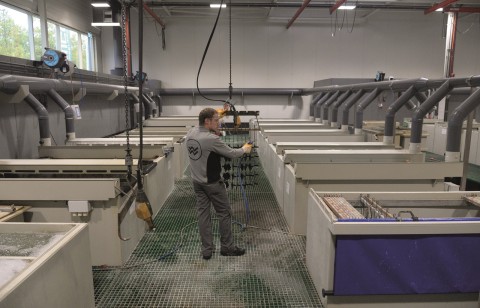 Handlijnen voor kleine series