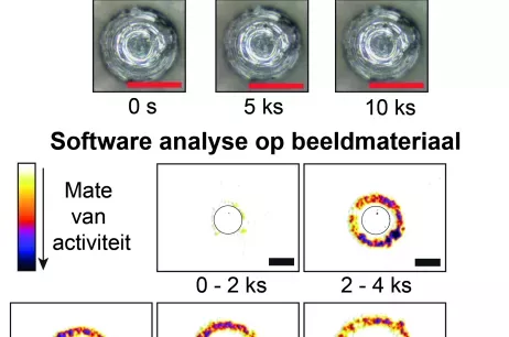 Voorbeeld van de huidige software analyse