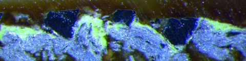 Microfoto van dwarsdoorsnede verfschilfer