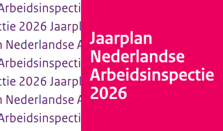 Arbeidsinspectie 2026